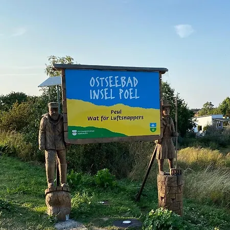Ostseemuschel