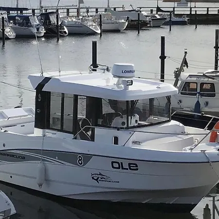 Ostseemuschel